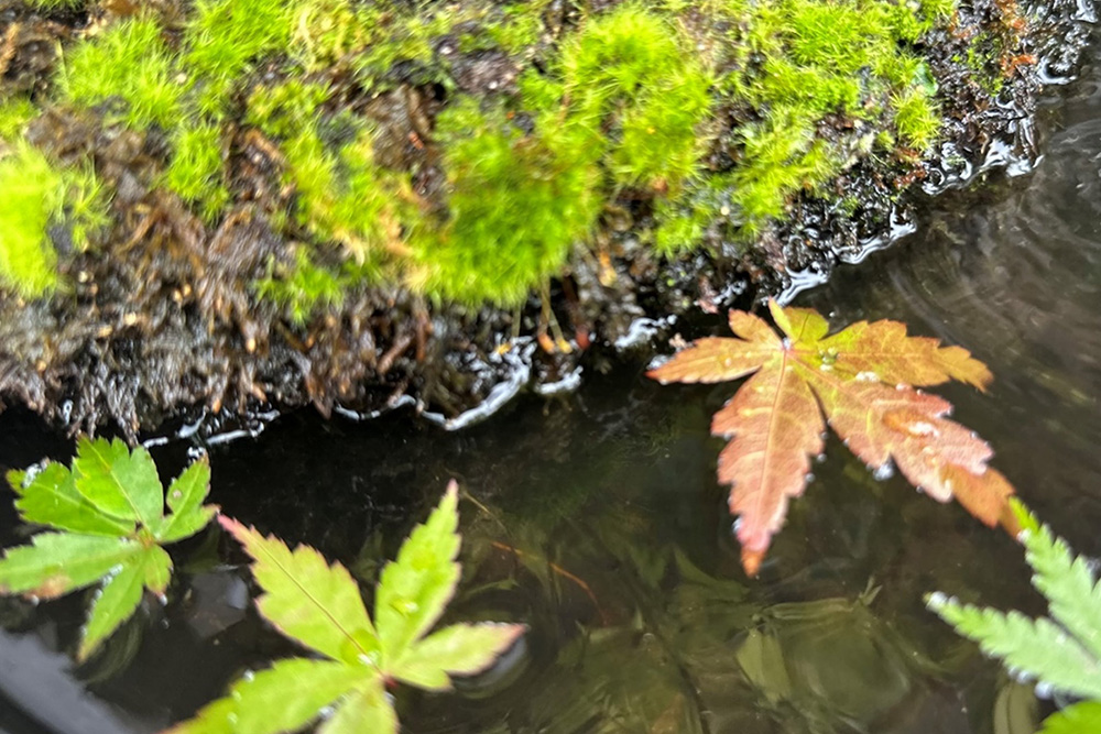 灌水装置システム