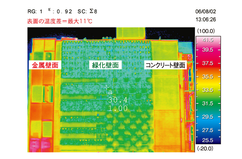 壁面緑化の効果