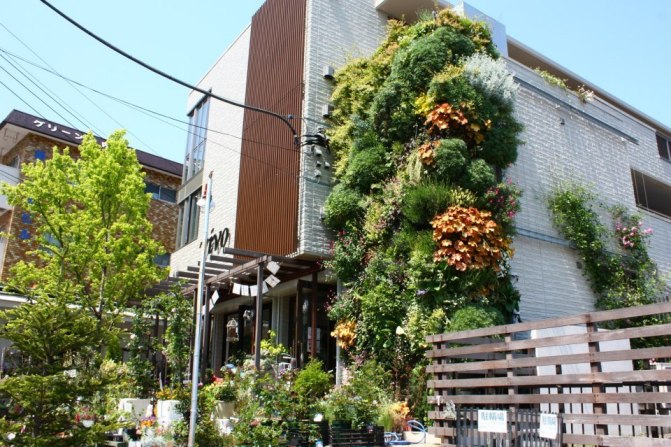 壁面緑化の植物のメンテナンスは外構植物（樹木）などのメンテナンスとどこが違いますか？